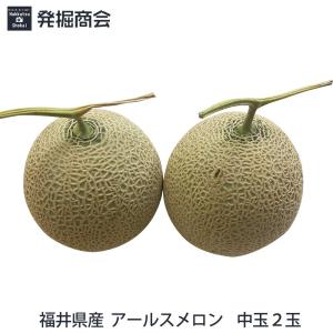 JAひまわり アールスメロン3玉（3Lサイズ・5kg以上） 贈答用最適品