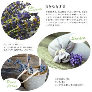 ラベンダー おかむらさき ドライフラワー 15...の詳細画像1