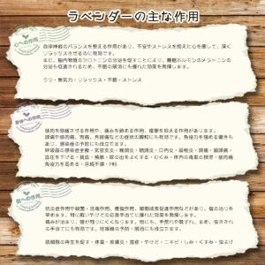 ラベンダー おかむらさき ドライフラワー 15...の詳細画像2