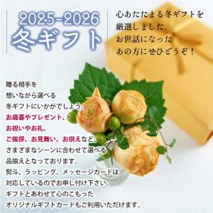 ラベンダー 濃紫3号 150g ドライフラワー...の詳細画像4