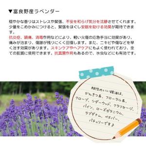 エッセンシャルオイル ラベンダー 30ml 北...の詳細画像1