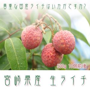 生ライチ 500ｇ 宮崎県産 ご家庭用 クール便送料無料 ギフト お中元 数量限定　