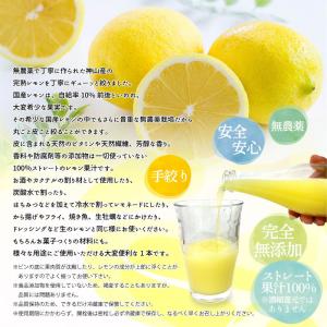 レモン果汁 720ml 12本セット ストレー...の詳細画像2