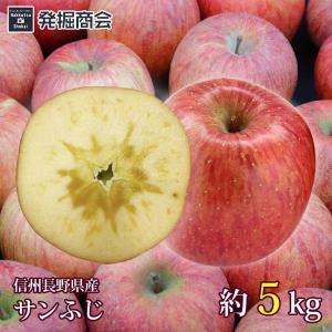 りんご サンふじ 約5kg 2023年収穫 信州 長野県産 期間限定