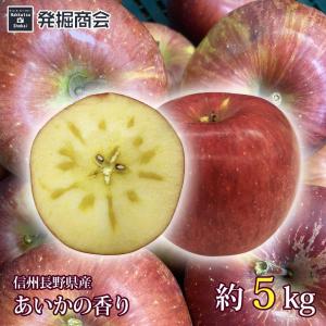りんご あいかの香り 約5kg 2023年収穫 信州 長野県産 期間限定