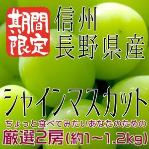 ワッサー】 約3kg 8個前後 桃 信州 長野県産 大きさミックス 期間
