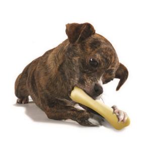 【チキン・ボーン/スモール】Petstages/ペットステージ　犬用おもちゃ　チキンフレーバー　ボーンミール　骨/ほね　カミカミトイ　味付き　小型犬　ポイント15倍｜hako-uri