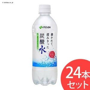 伊藤園 磨かれて澄みきった炭酸水 500mlx24本