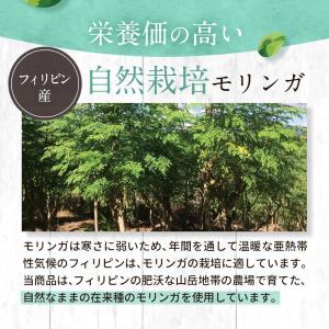 有機JAS認定 モリンガパウダー 110g モ...の詳細画像3