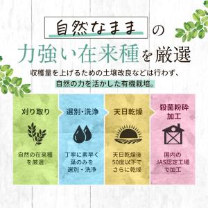 有機JAS認定 モリンガパウダー 110g モ...の詳細画像4