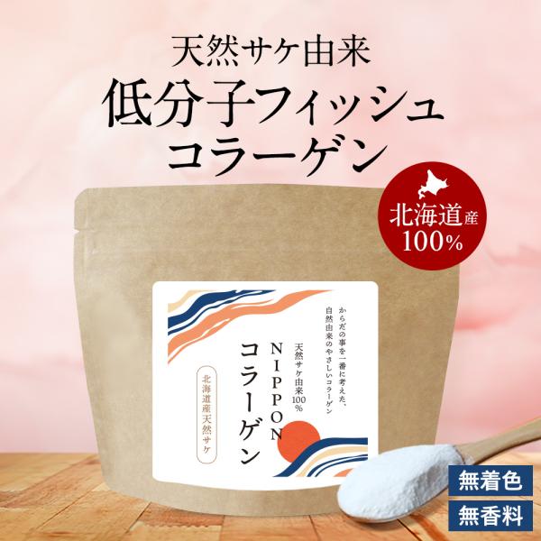 フィッシュコラーゲンパウダー 100g 北海道産 天然 鮭皮 100% コラーゲンパウダー 低分子 ...