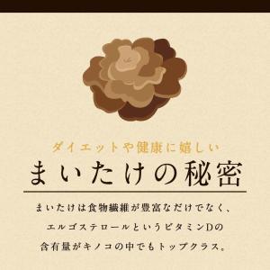 舞茸パウダー 舞茸粉末 100g まいたけ粉末...の詳細画像2