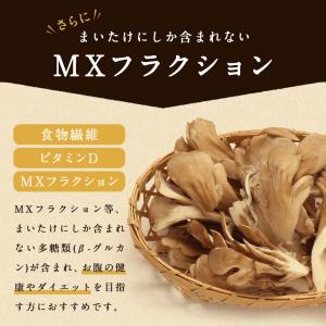 舞茸パウダー 舞茸粉末 100g まいたけ粉末...の詳細画像3