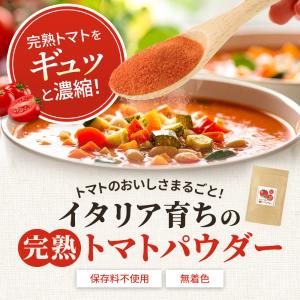 トマトパウダー 600g トマトペースト 野菜...の詳細画像2