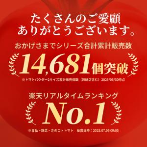 トマトパウダー 600g トマトペースト 野菜...の詳細画像3