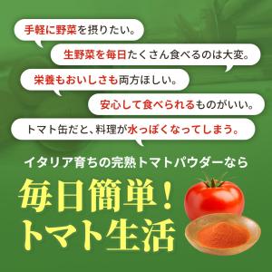 トマトパウダー 600g トマトペースト 野菜...の詳細画像4