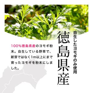 よもぎ粉末 100g 無添加 国産 よもぎ よ...の詳細画像3