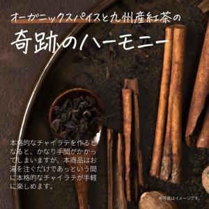 チャイラテ 粉末 180g チャイ オーガニッ...の詳細画像2
