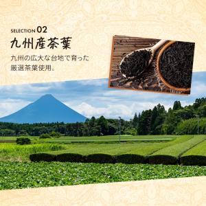 チャイラテ 粉末 180g チャイ オーガニッ...の詳細画像5