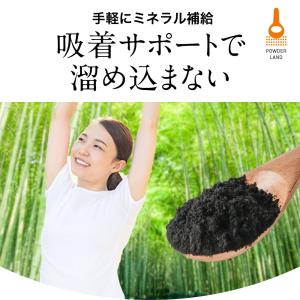 食用炭 竹炭パウダー 食用 100g 国産 竹...の詳細画像2
