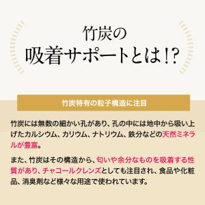 食用炭 竹炭パウダー 食用 100g 国産 竹...の詳細画像5