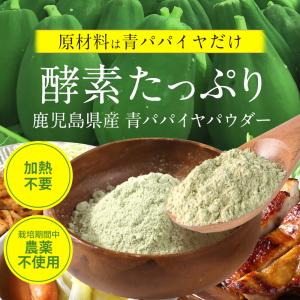 青パパイヤ酵素粉末 60g 青パパイヤ酵素 国...の詳細画像1