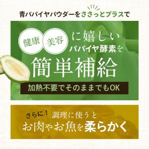 青パパイヤ酵素粉末 60g 青パパイヤ酵素 国...の詳細画像2