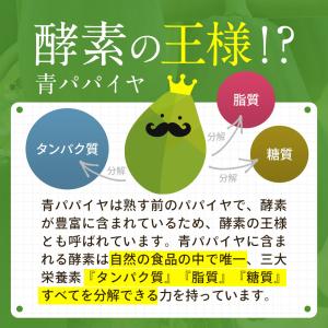 青パパイヤ酵素粉末 60g 青パパイヤ酵素 国...の詳細画像3