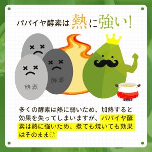 青パパイヤ酵素粉末 60g 青パパイヤ酵素 国...の詳細画像4