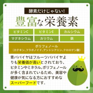 青パパイヤ酵素粉末 60g 青パパイヤ酵素 国...の詳細画像5