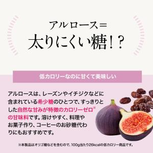 アルロース 乳酸菌 オリゴ糖 300g 希少糖...の詳細画像4