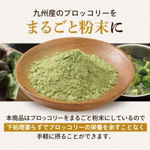 ブロッコリー ブロッコリーパウダー ブロッコリ...の詳細画像4
