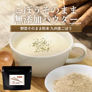 ごぼうパウダー 100g ごぼう ごぼう粉末 ...の詳細画像2