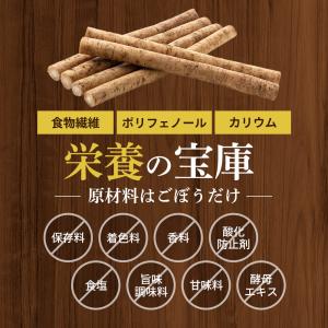 ごぼうパウダー 100g ごぼう ごぼう粉末 ...の詳細画像3