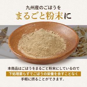 ごぼうパウダー 100g ごぼう ごぼう粉末 ...の詳細画像4