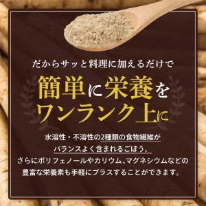 ごぼうパウダー 100g ごぼう ごぼう粉末 ...の詳細画像5