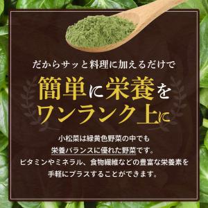 小松菜 小松菜パウダー 小松菜粉末 100g ...の詳細画像5
