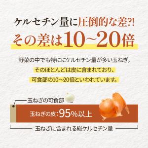 玉ねぎの皮 粉末 パウダー 120g 玉ねぎ茶...の詳細画像3