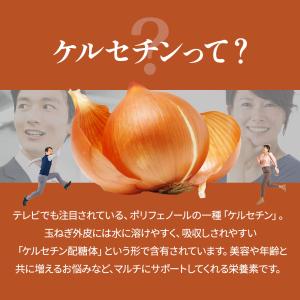 玉ねぎの皮 粉末 パウダー 120g 玉ねぎ茶...の詳細画像4
