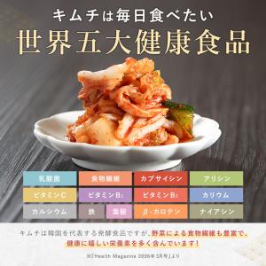 キムチの素 粉 甘口 100g キムチ キムチ...の詳細画像2