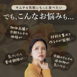 キムチの素 粉 甘口 100g キムチ キムチ...の詳細画像3