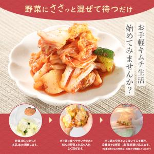 キムチの素 粉 甘口 100g キムチ キムチ...の詳細画像4