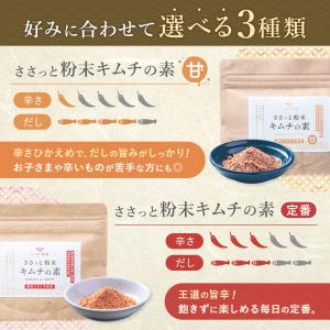キムチの素 粉 甘口 100g キムチ キムチ...の詳細画像5