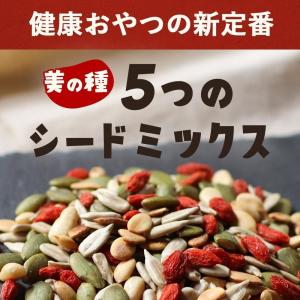 シードミックス 無塩 5種 (300g) 食用 種 ミックスシード 松の実 ひまわりの種 かぼちゃの種 メロンシード すいかのたね スイカの種 クコの実 素焼き おやつ