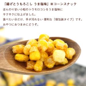 揚げとうもろこし お菓子 うま塩味 150g ...の詳細画像1