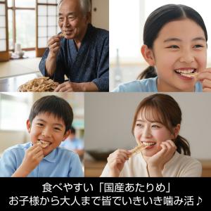 あたりめ 国産 無添加 柔らかい 焼きほぐし ...の詳細画像5