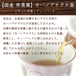 カバノアナタケ茶 北海道 【カバノアナタケ 国...の詳細画像1