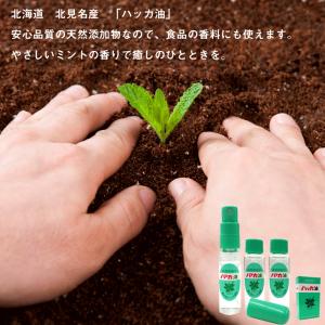ハッカ油 スプレー お得セット (本体11.5...の詳細画像3