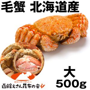 毛ガニ 送料無料 蟹)北海道産毛ガニ 500g強 ボイル冷凍...