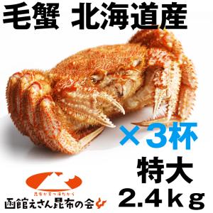 毛ガニ 特大3尾 送料無料 北海道産 毛ガニ 2.4kg強(特大800g×3尾) 毛ガニ ボイル冷凍 毛蟹 レシピ付き お歳暮 訳あり無し 2kg(2キロ)以上｜hakodate-e-kombu